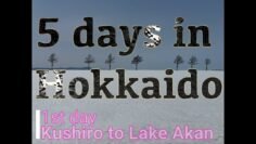 5 days in Hokkaido 1st day P.2