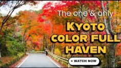 EIK DIN KA 180000.00 RENT