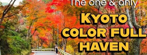 EIK DIN KA 180000.00 RENT