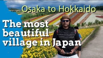 Japan biggest sunflower park