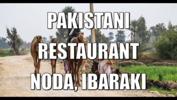 Japan to Pakistan travel with Japanese friends P.8