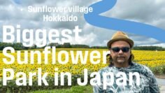 Japan to Pakistan travel with Japanese friend P.10