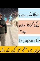 Living in Japan Is Expensive? | The Truth About Living Costs| Kiaa Japan main rehna Muskhkil haee