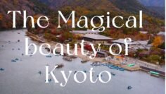 The color full haven of Kyoto