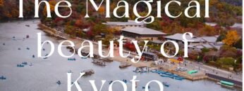 The color full haven of Kyoto