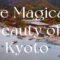 The magical beauty of Kyoto