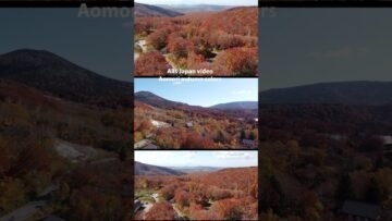 The Hokkaido Autumn P.1