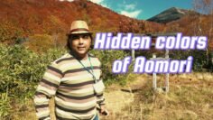 The magical beauty of Kyoto