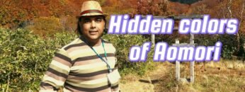 The magical beauty of Kyoto